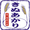 きぬあかり